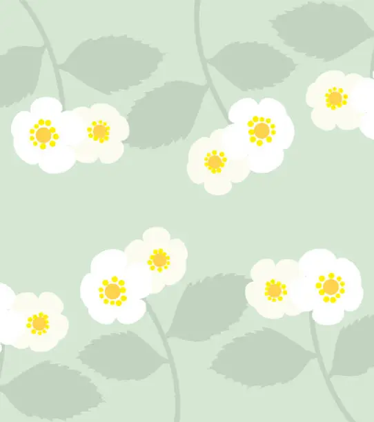 Vector illustration of Vector seamless pattern with strawberry flowers.