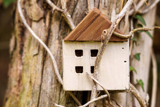 istock House model entangled in dry plant stems 1448011219