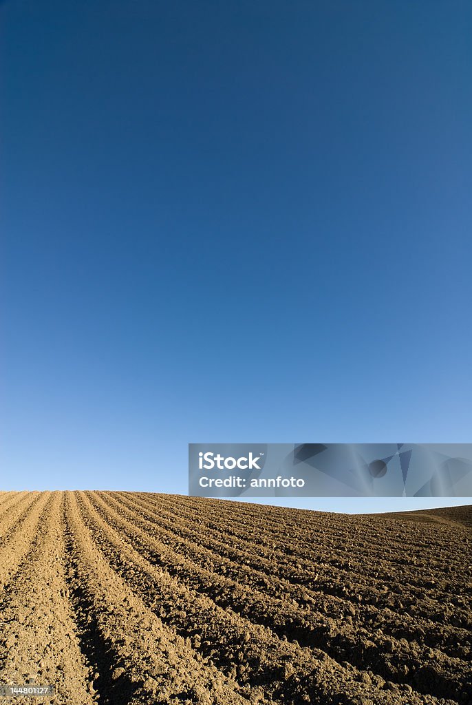 Höheren Lagen field vor einem blauen Himmel - Lizenzfrei Agrarbetrieb Stock-Foto