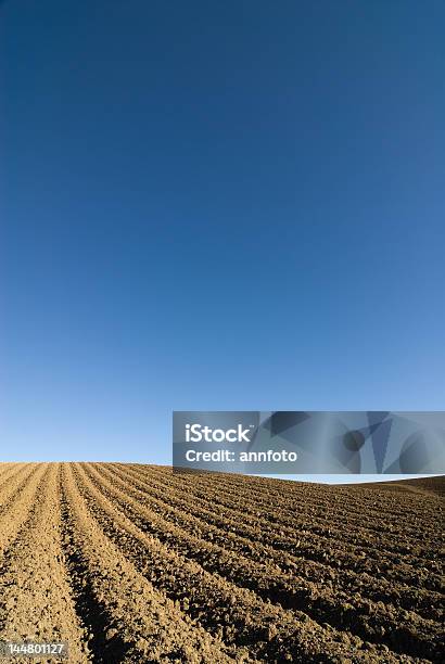 Höheren Lagen Field Vor Einem Blauen Himmel Stockfoto und mehr Bilder von Agrarbetrieb - Agrarbetrieb, Agrarland, Anfang