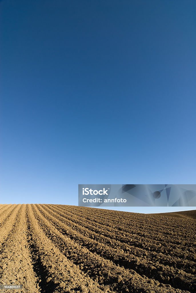 Ploughed フィールドの背景に青い空 - からっぽのロイヤリティフリーストックフォト