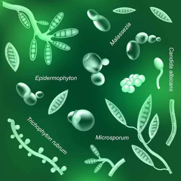 Pathogenic fungi with glowing effect on green background. pattern Pathogenic fungi with glowing effect on green background. pattern of Dangerous pathogen. Yeast that cause of infectious disease or illness. saprophytes. Vector trichophyton fungus stock illustrations