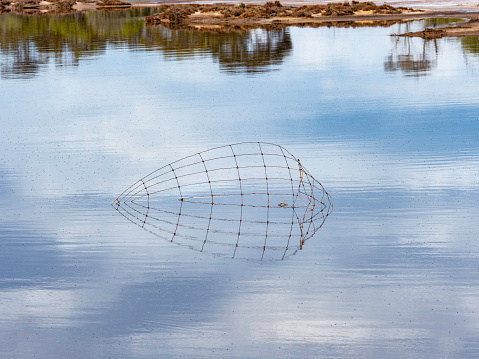 Abstract wire in lake