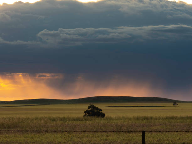 deszcz chmury o zachodzie słońca - storm wheat storm cloud rain zdjęcia i obrazy z banku zdjęć