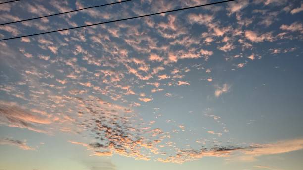 istock Pink panther clouds on the sky 1448013898