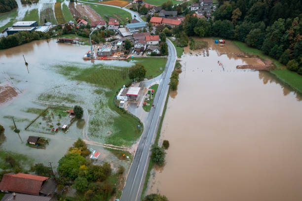 istock Torrent from a mountain stream ripping through the forest, aerial view 1448014009