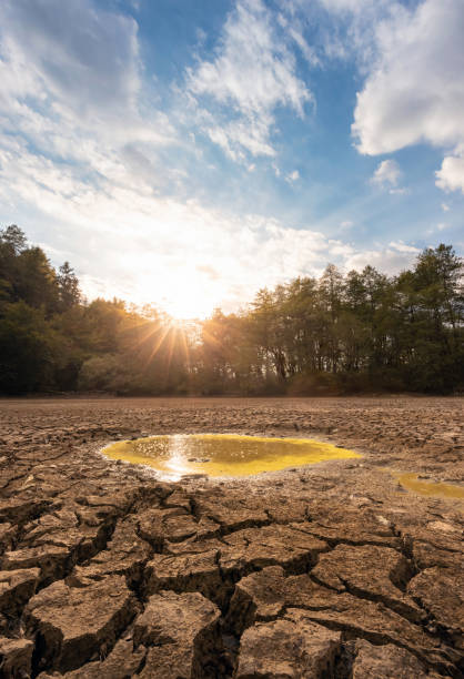 istock Puddle filled with dirty water on dry cracked soil, drought 1448014584