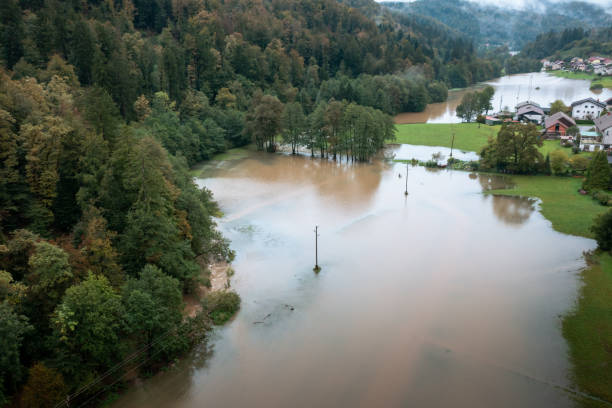 istock Torrent from a mountain stream ripping through the forest, aerial view 1448014694