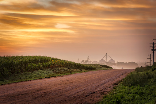 Early morning on a dirt road, with hills and cornfields, near Seward, Nebraska.