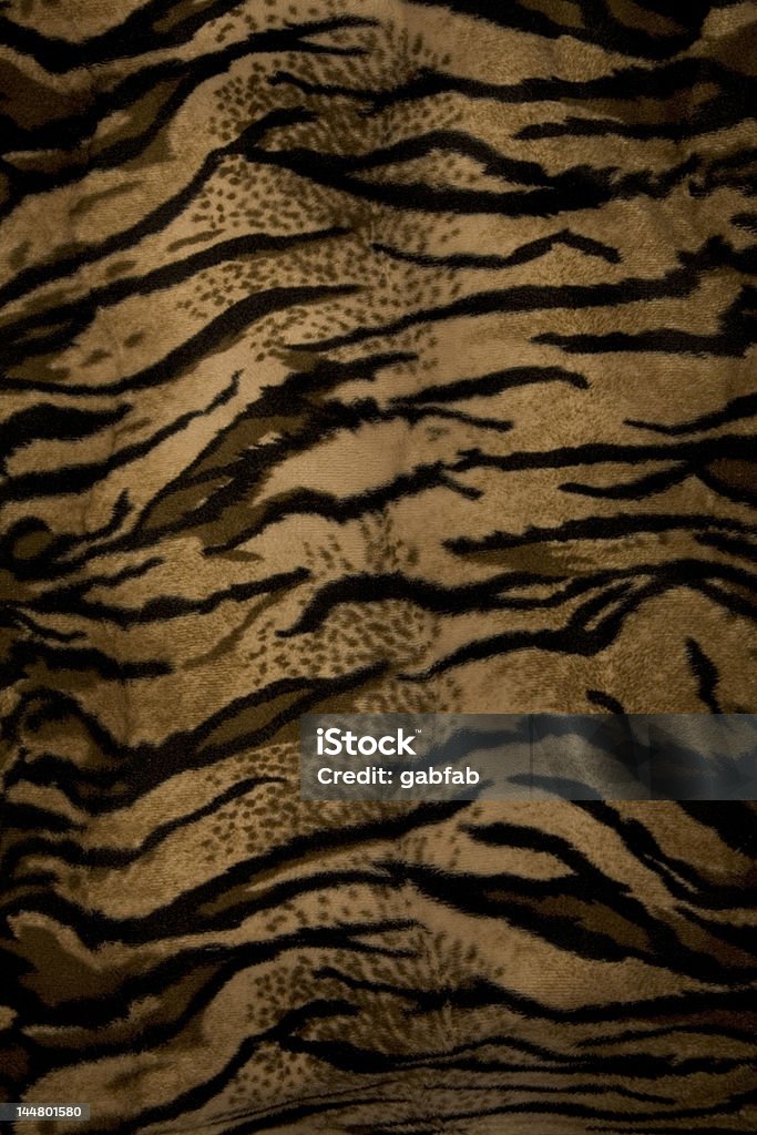 Tecido de Tigre - Foto de stock de Animal royalty-free