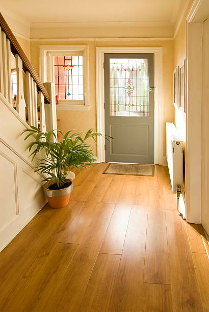 istock Entrance hallway decorated with a single potted plant 144801658