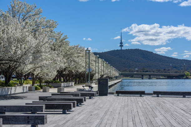 istock South side of Lake Burley Griffin in springtime-1 1448019956