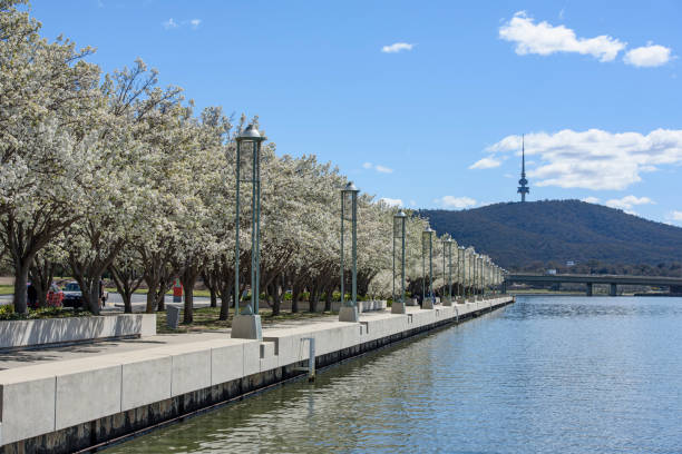 istock South side of Lake Burley Griffin in springtime-2 1448019984