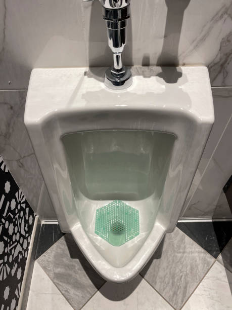 istock Urinal of public restroom 1448029643