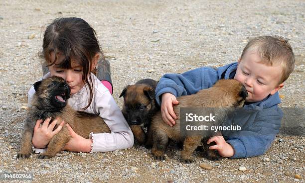 Niños Y Lactantes Foto de stock y más banco de imágenes de Acariciar a un animal - Acariciar a un animal, Acostado, Alegre