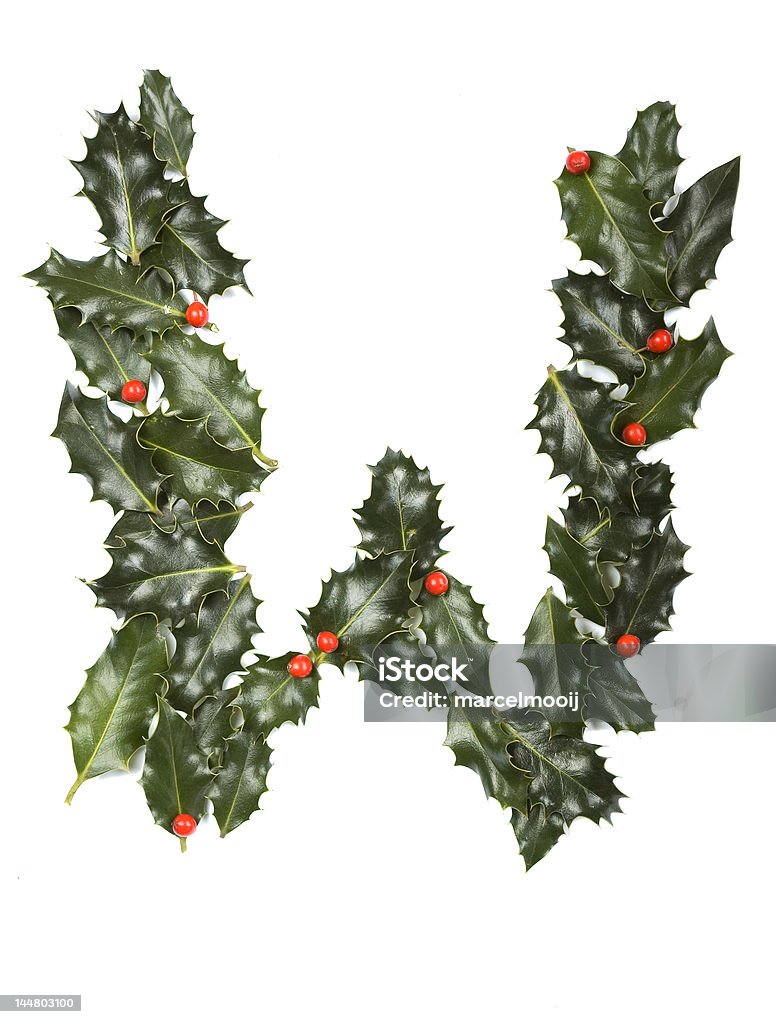 HollyBerryW Holly Leaves with berry's in the form of the letter W. Isolated on white. Alphabet Stock Photo