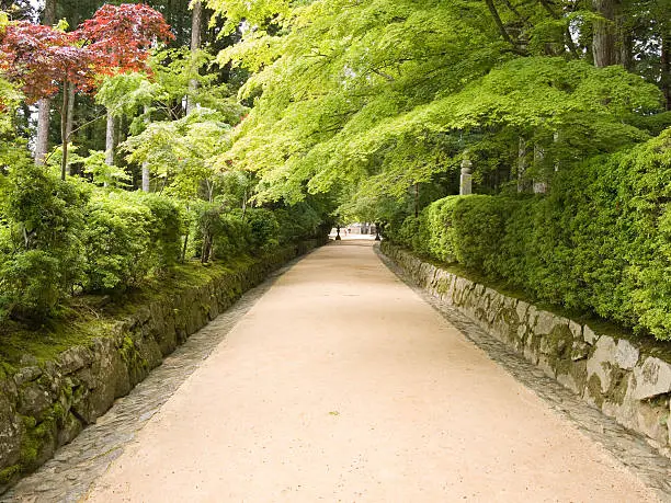 Pathway leading through the forest to the temples on Koya mountain, Japan
