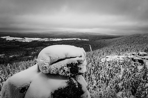 Wintertime forest landscape around Poacher Rocks, Czech: Pytlacke kameny, in Jizera Mountains, Czech Republic. Black and white image.