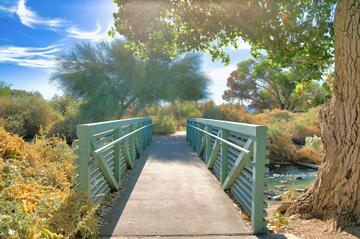 Concrete bridge with painted green barrier over a creek at Sweetwater Wetlands- Tucson, Arizona. There is a tree on the right near the entrance of the bridge heading to a nature trail.