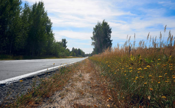 Asphalt road in the countryside in a cloudy overcast day