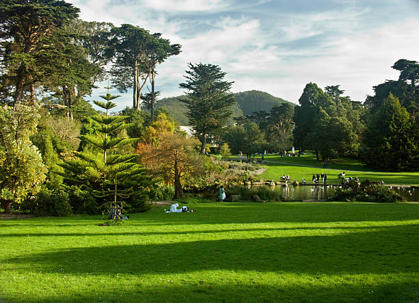 парк золотые ворота - golden gate park стоковые фото и изображения