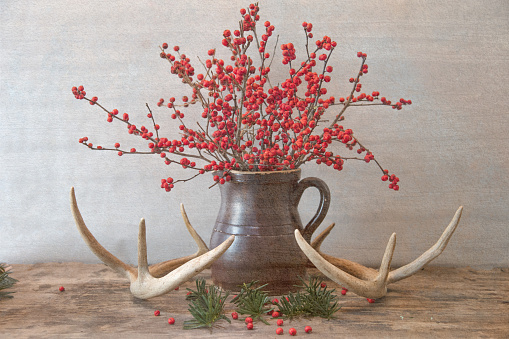 December foraged whitetail deer antlers surrounding native winterberry and spruce trees sprigs in a decorative Christmas centerpiece