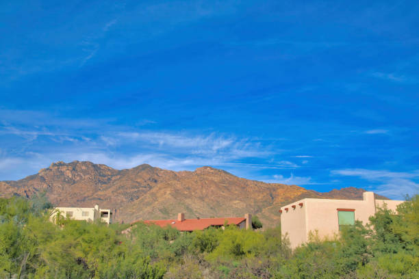 istock Mountainside homes with wild plants at the front at Tucson, Arizona 1448046237