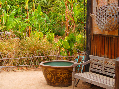 Rural asian village garden with an old bike leaning next to a wooden bench and ornamental pot with banana and other exotic fruit and vegetables in the background      