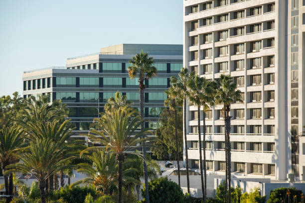 istock Torrance, California 1448048520