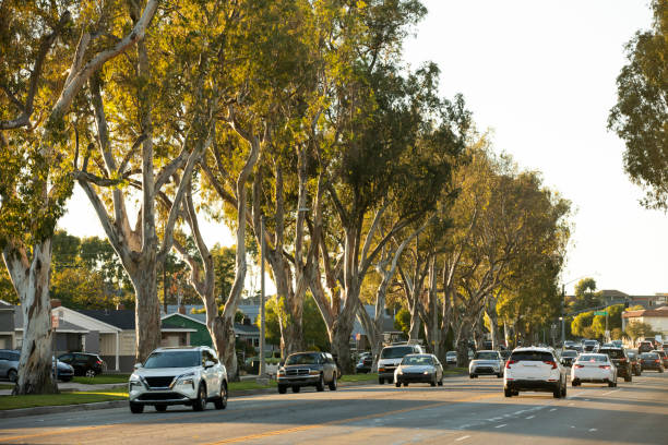 istock Torrance, California 1448048531