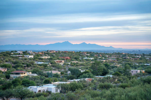 istock Suburbs surrounded by desert plants at Tucson, Arizona 1448050708