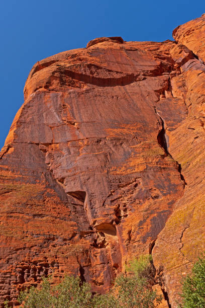 Spectacular Red Rock Wall in the Desert Spectacular Red Rock Wall in the Desert in Snow Canyon State Park in Utah snow canyon state park stock pictures, royalty-free photos & images