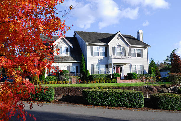 istock Maple Leaves in front of a house 144805263