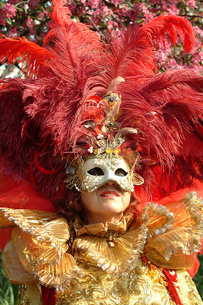 istock Costume of carnaval 144805327