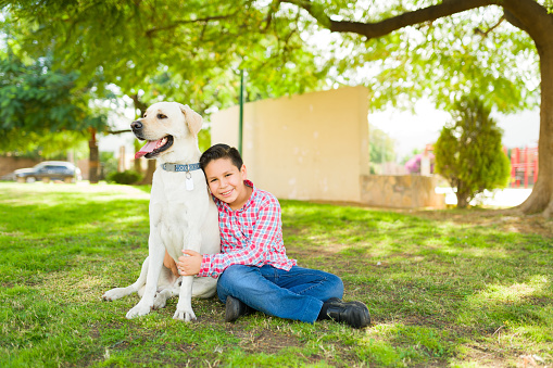 Cheerful hispanic boy hugging his happy retriever dog and smiling while making eye contact and having fun with his buddy in the park