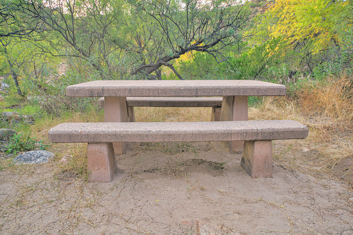 Sabino Canyon State Park, Tucson, Arizona- Concrete picnic table. Dining table near the shrub trees on a campgroundat the background.