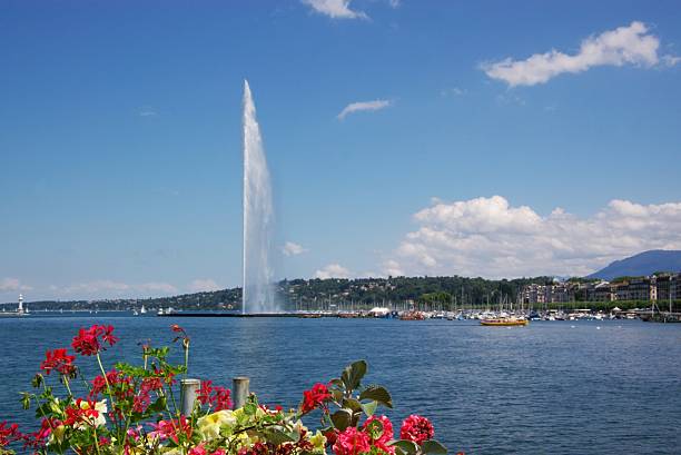 istock Geneva fountain view with flowers 144805509
