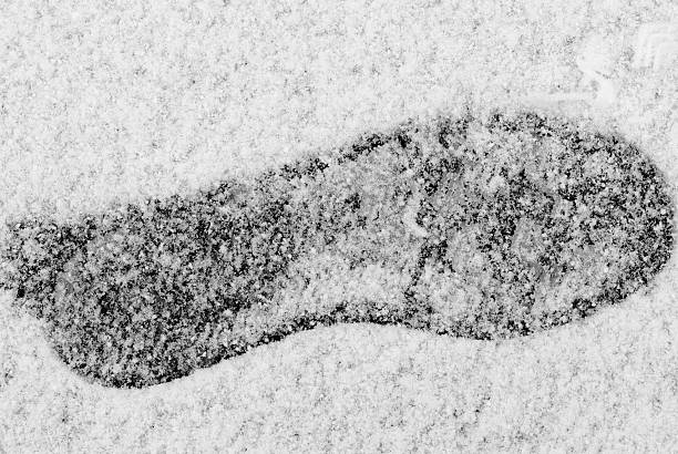 istock Footprint in Fresh Snow 144805634
