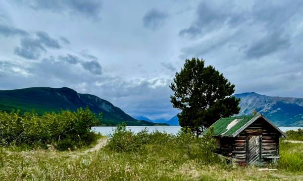 istock Cabin in Carcross 1448056614