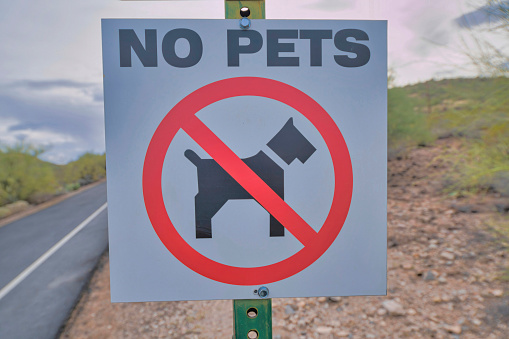 No pets signage with symbol at Sabino Canyon State Park at Tucson, Arizona. Close-up of a signage against the view of a road on the left and slope on the right.