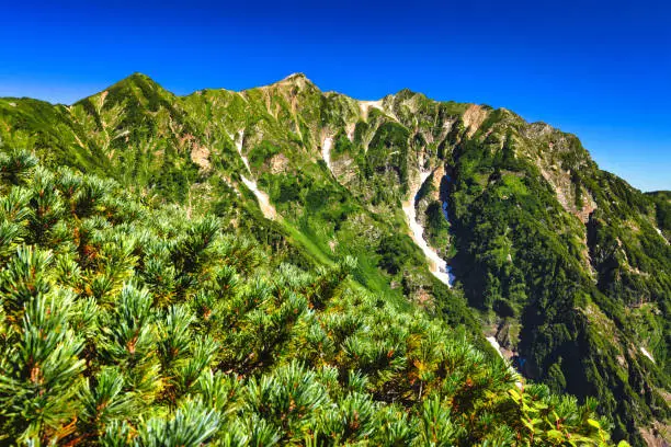 Kashima Yarigatake in the Northern Alps seen from Akaiwa Ridge