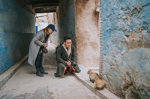 Asian Chinese couple tourist photographing cats at narrow alley in the old medina of Fez, Morocco