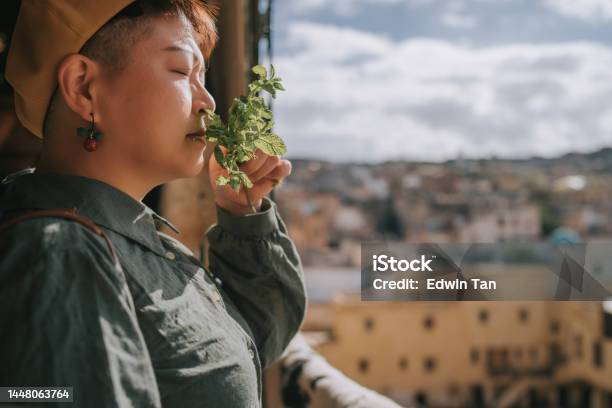 Asian Chinese Female Tourist Smelling Mint Leaf Avoid Unpleasant Smell From Chouwara Leather Traditional Tannery In Ancient Medina Of Fes El Bali Morocco Africa Stock Photo - Download Image Now
