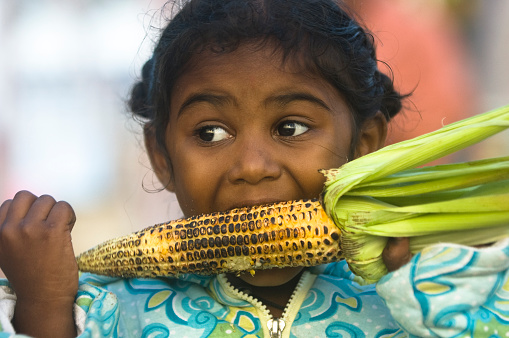A little indian girl eating roasted corn on the cob