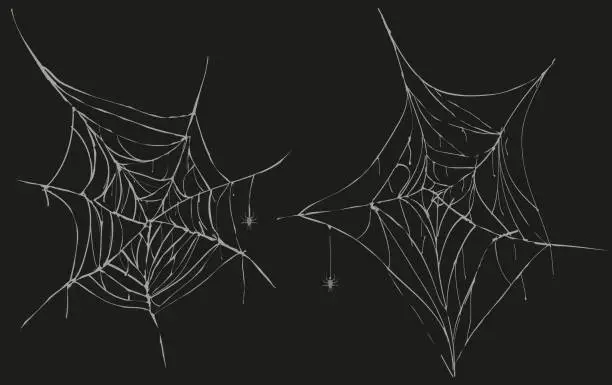 Vector illustration of Cobweb collection isolated on black. Spider web for Halloween design. Spider web elements, spooky, scary, horror halloween decor. Hand drawn silhouette, vector illustration