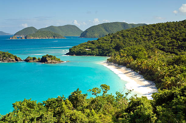 Beautiful Secluded Tropical Beach in the Caribbean White sandy beach of Trunk Bay on St. John in the US Virgin Islands in the Caribbean. st john's plant stock pictures, royalty-free photos & images