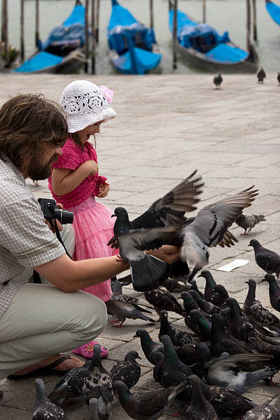 Place St Marco Father and doughter on the place St Marco in Venice - feed the pigeons. pigeon family stock pictures, royalty-free photos & images