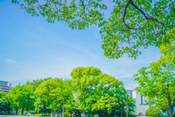 istock Fresh green and blue sky 1448074339