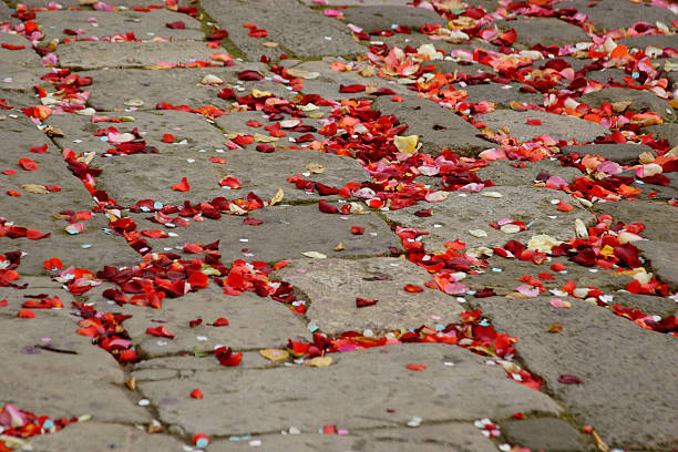 istock Petals of roses 144807703