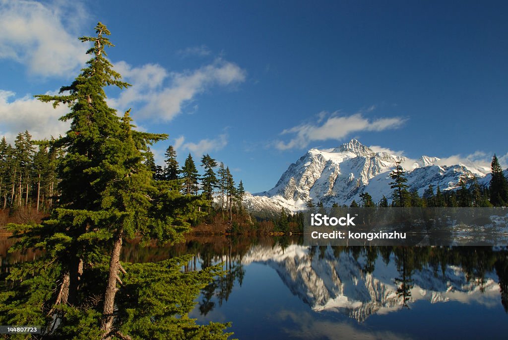 Lac picture lake et mt.shuksan - Photo de Arbre libre de droits